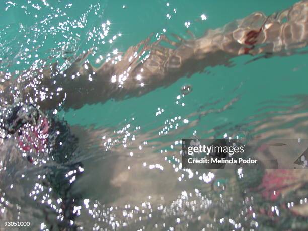 girl in bikini swimming at kailua beach, oahu - kailua beach imagens e fotografias de stock