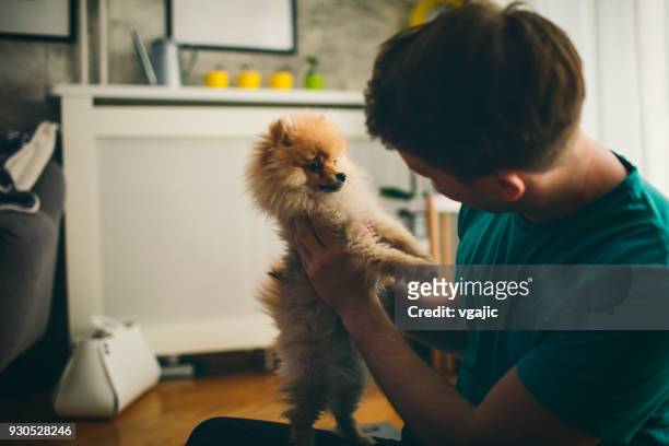 mid adult man and his dog - pomeranian stock pictures, royalty-free photos & images