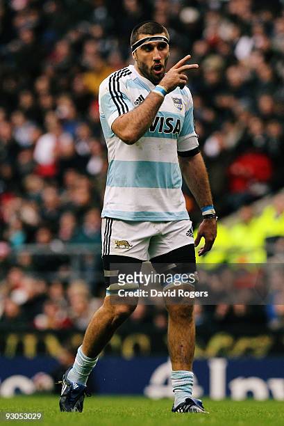 Juan Martin Fernandez Lobbe of Argentina gestures during the Investec Challenge match between England and Argentina at Twickenham on November 14,...