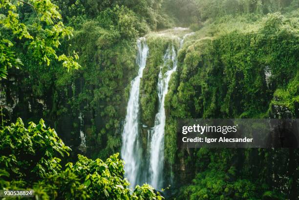 iguazú, brasil y argentina, las cataratas del lado brasilero - paraná fotografías e imágenes de stock