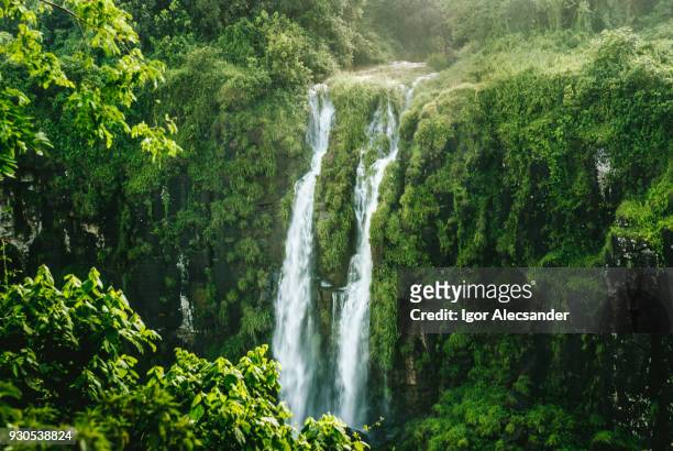 iguazu falls, brazil-argentina, brazilian side - foz do iguaçu imagens e fotografias de stock