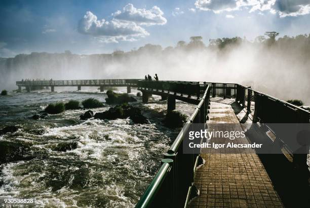 iguazu falls, brazil-argentina, brazilian side - iguazu falls stock pictures, royalty-free photos & images