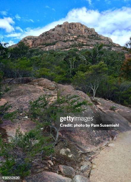 mount amos, freycinet national park, tasmania, australia - freycinet stock-fotos und bilder