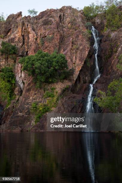 wangi falls at litchfield national park, australia - northern territory stock pictures, royalty-free photos & images