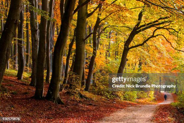 September Spring 70,490 September Landscape Stock Photos, High-Res Pictures, and Images ...