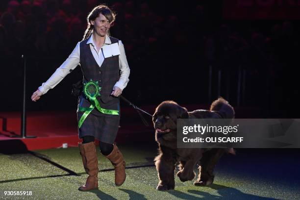 "Newgraden Llori Nanya" , the Newfoundland, is shown during the Best in Show competition on the final day of the Crufts dog show at the National...