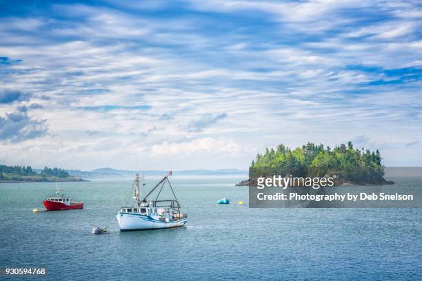 fishing boats in the bay of fundy at lubec maine - lubec stock-fotos und bilder