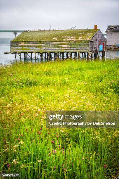 abandoned fish processing shed on a pier in lubec maine - lubec stock-fotos und bilder