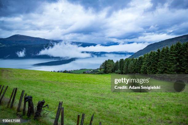 norsk fjord - farm bildbanksfoton och bilder