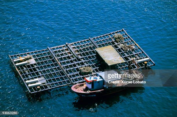 Galicia from the air. Galicia produces more than 250,000 tonnes of mussels in about 3,300 mussel beds, more than half of which are in the Ria de A...