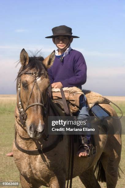 Ibera Marshes. Corrientes province. Argentina. The Ibera marshes is one of the largest moist soil areas in the world. It is one of most important...