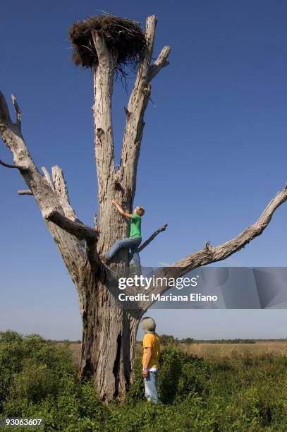 Esteros del Ibera. Corrientes. Argentina. The Ibera Wetlands are the second-largest wetlands in South America. They are located in the center and...