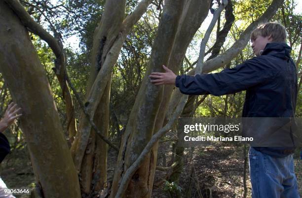 Ibera Marshes. Corrientes province. Argentina. The Ibera marshes is one of the largest moist soil areas in the world. It is one of most important...