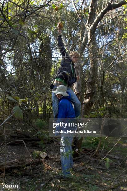 Ibera Marshes. Corrientes province. Argentina. The Ibera marshes is one of the largest moist soil areas in the world. It is one of most important...