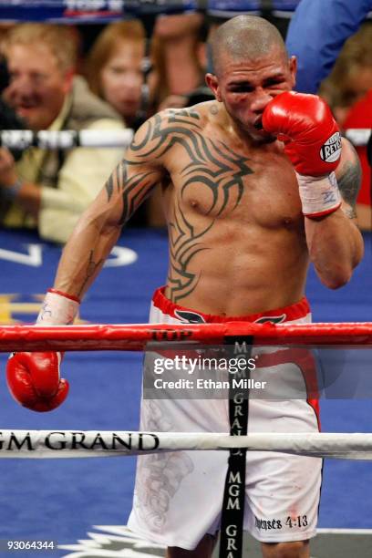 Miguel Cotto of Puerto Rico reacts against Manny Pacquiao during their WBO welterweight title fight at the MGM Grand Garden Arena on November 14,...