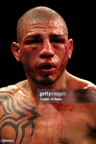 Miguel Cotto of Puerto Rico looks on from the ring before losing to Manny Pacquiao by 12th round TKO during their WBO welterweight title fight at the...