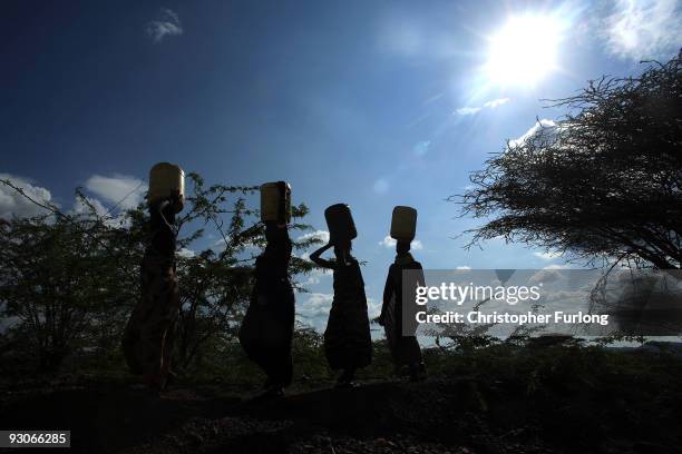 Women from the remote Turkana tribe in Northern Kenya carry water from a well. Some villagers are having to walk up to 10 miles, leaving at 4am to...