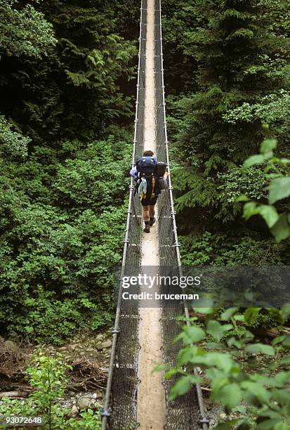 routard sur le pont suspendu - sentier de la côte ouest photos et images de collection