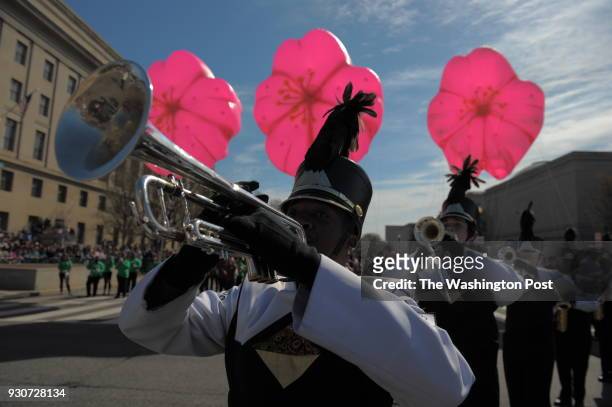 The Hernando High School band performs during the National Cherry Blossom Festival Parade on Constitution Avenue in Washington. April 2014 in...