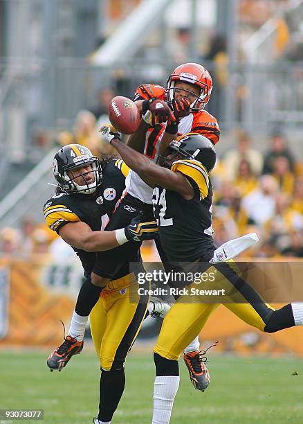 Laveranues Coles of the Cincinnati Bengals can't make a catch as Troy Polamalu and William Gay of the Pittsburgh Steelers defend at Heinz Field on...