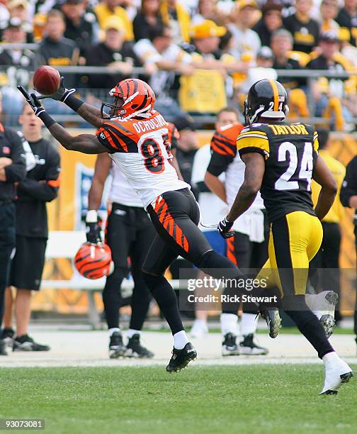 Chad Ochocinco of the Cincinnati Bengals makes a catch ahead of Ike Taylor of the Pittsburgh Steelers at Heinz Field on November 15, 2009 in...