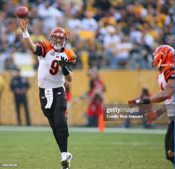 Carson Palmer of the Cincinnati Bengals throws a pass to Laveranues Coles during play against the Pittsburgh Steelers at Heinz Field on November 15,...