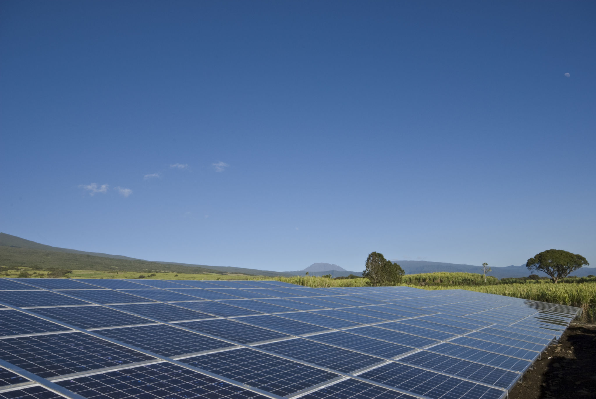 developpement durable