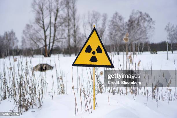 Radiation warning sign indicates an area of high contamination on land near the evacuated city of in Pripyat, Ukraine, on Wednesday, Feb. 28, 2018....
