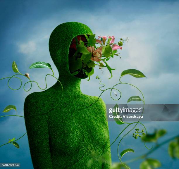 植物綠色圖 - 花頭 個照片及圖片檔