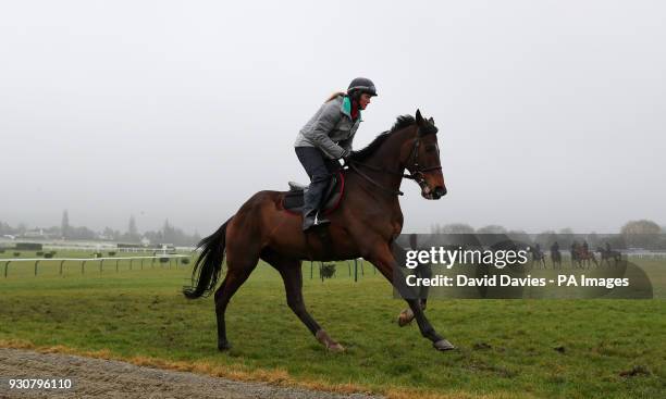 Douvan on the gallops during a preview day ahead of the 2018 Cheltenham Festival meeting.