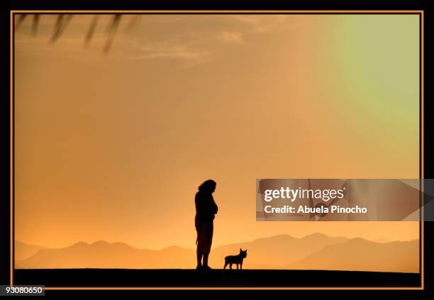 woman and dog at sunset - abuela stock pictures, royalty-free photos & images