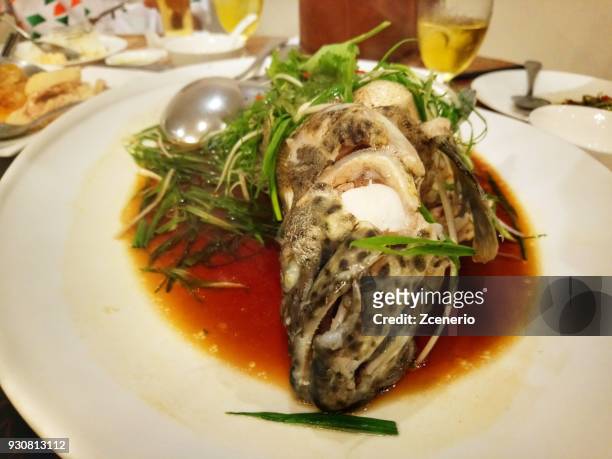 thai chinese style most favorite steamed grouper in salty soy sauce topped with onion and ginger on a white plate - freshness seal stock pictures, royalty-free photos & images