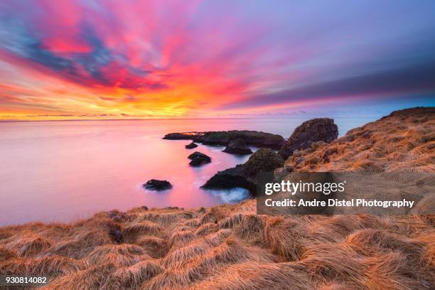 iceland landscape and nature - iceland - arnarstapi stockfoto's en -beelden