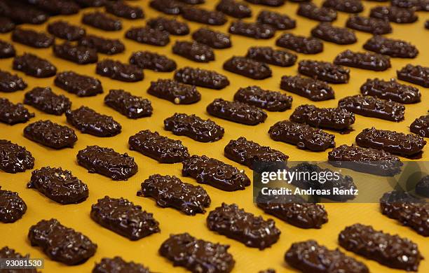 After the baked cookies with chopped nuts were coated with liquid chocolate they are running on an automatic conveyor belt to cool down at the...