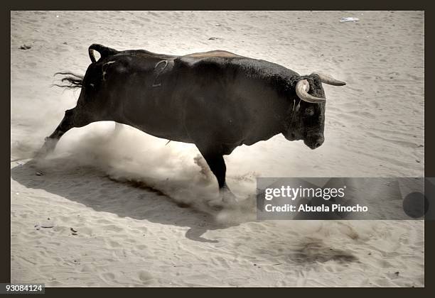 charging bull - corrida de touros imagens e fotografias de stock