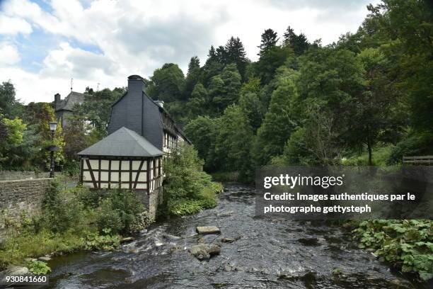 the roer river flowing in middle idyllic nature and historical buildings - eifel stock pictures, royalty-free photos & images