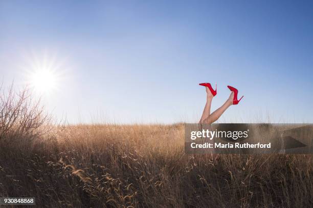 legs with red heels coming out of bush - fetisjkleding stockfoto's en -beelden