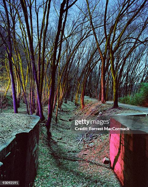 abandoned boat lock - chesapeake and ohio canal national park stock pictures, royalty-free photos & images