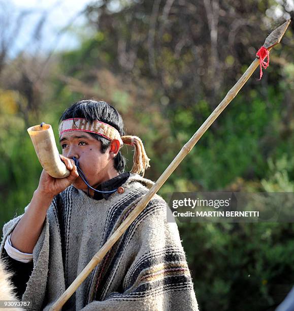 Duch Cacho 1,651 Cacho Stock Photos, High-Res Pictures, and Images - Getty Images