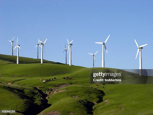 wind turbines and cattle pasture in california - wind turbine california stock pictures, royalty-free photos & images