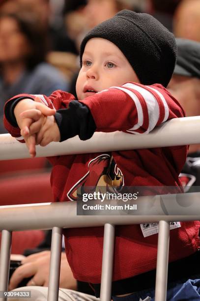 Little Phoenix Coyotes fan watches a game against the Dallas Stars from the first row on November 14, 2009 at Jobing.com Arena in Glendale, Arizona.