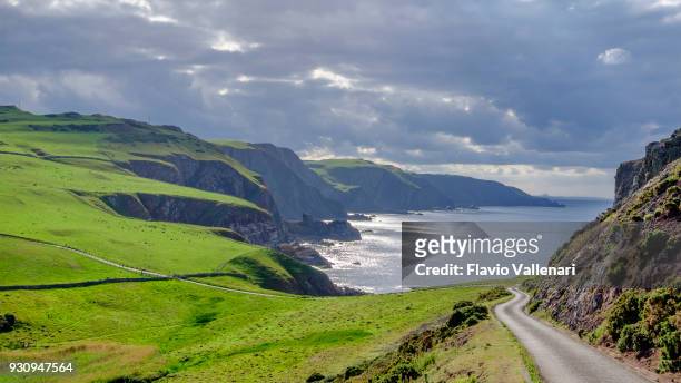 st abb's head, a rocky promontory and a national nature reserve in berwickshire, scotland. - nature reserve stock pictures, royalty-free photos & images