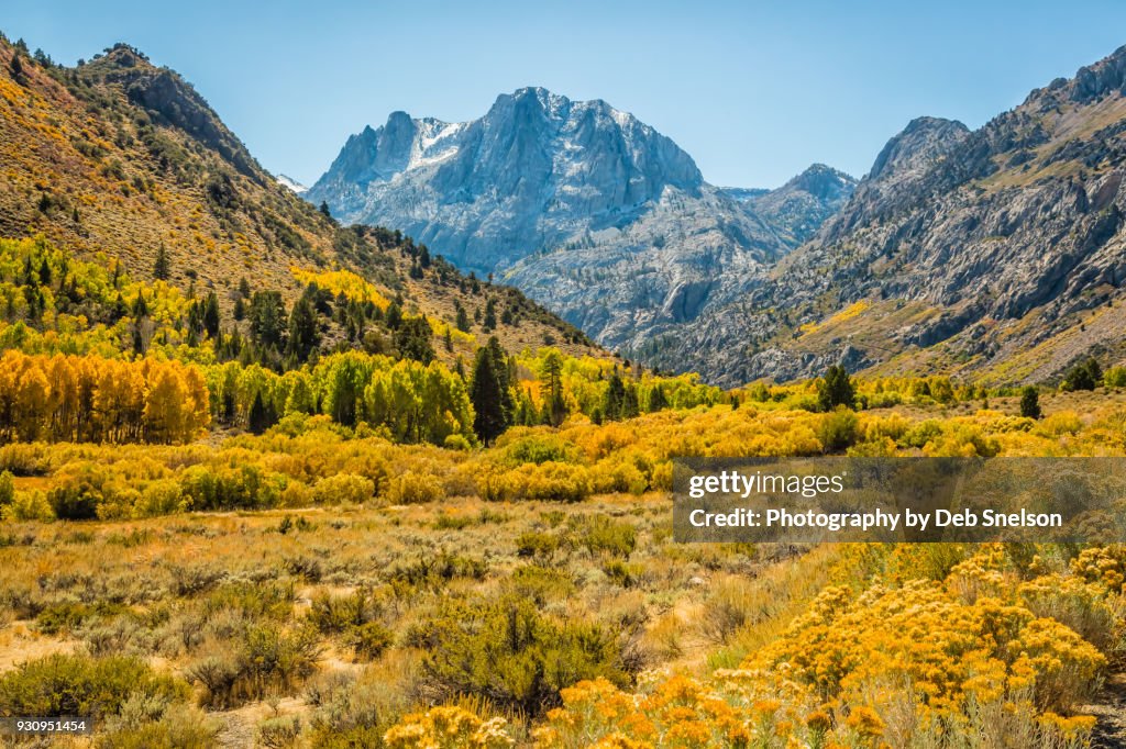 Drive to June Lake in Autumn