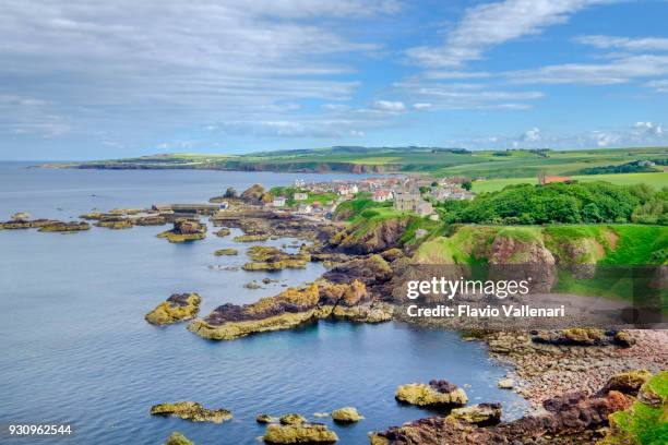 聖 abb 的頭, 一個岩石海角和國家自然保護區在 berwickshire, 蘇格蘭。 - scozia 個照片及圖片檔