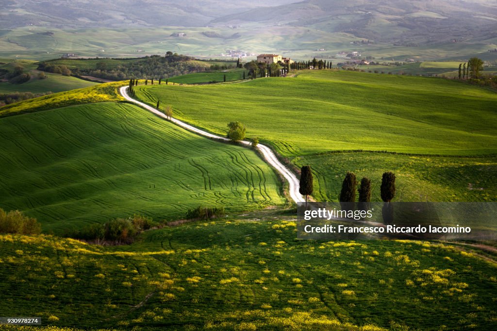 Tuscany, fine art landscape