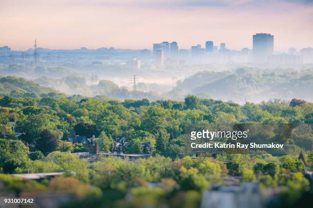 toronto's tales of dales. misty morning in may - toronto city stock pictures, royalty-free photos & images