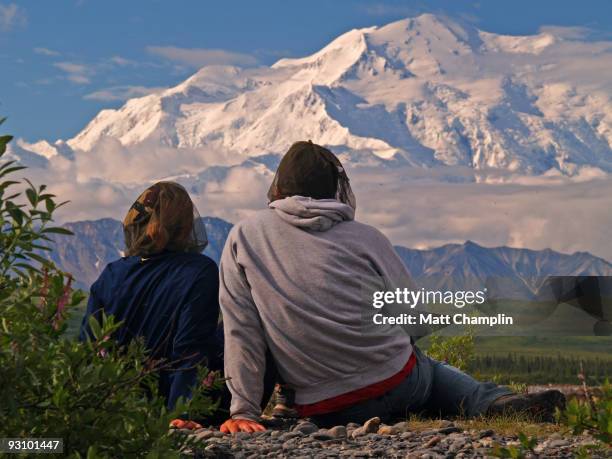 a view of the great one - mt mckinley stock pictures, royalty-free photos & images