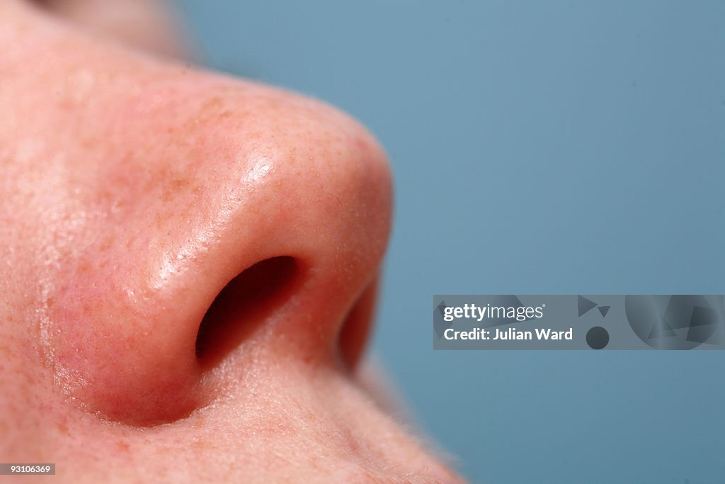 Female Nose
