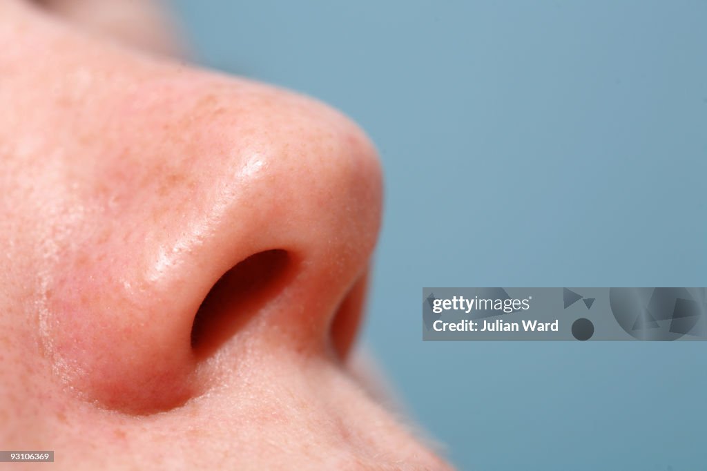 Female Nose