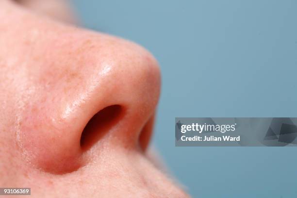 Female Nose, Bildbanksbilder